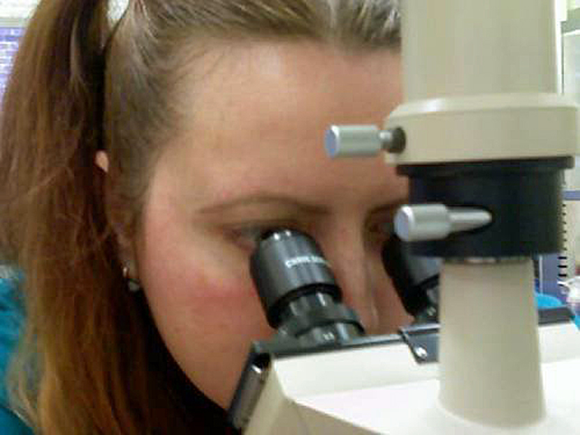 person looking through a microscope